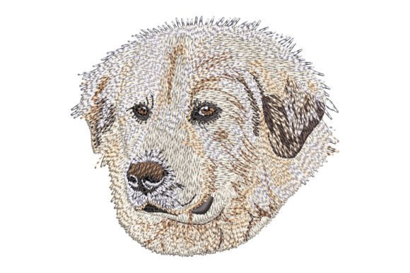 Reviewing the Great Pyrenees Embroidery Design